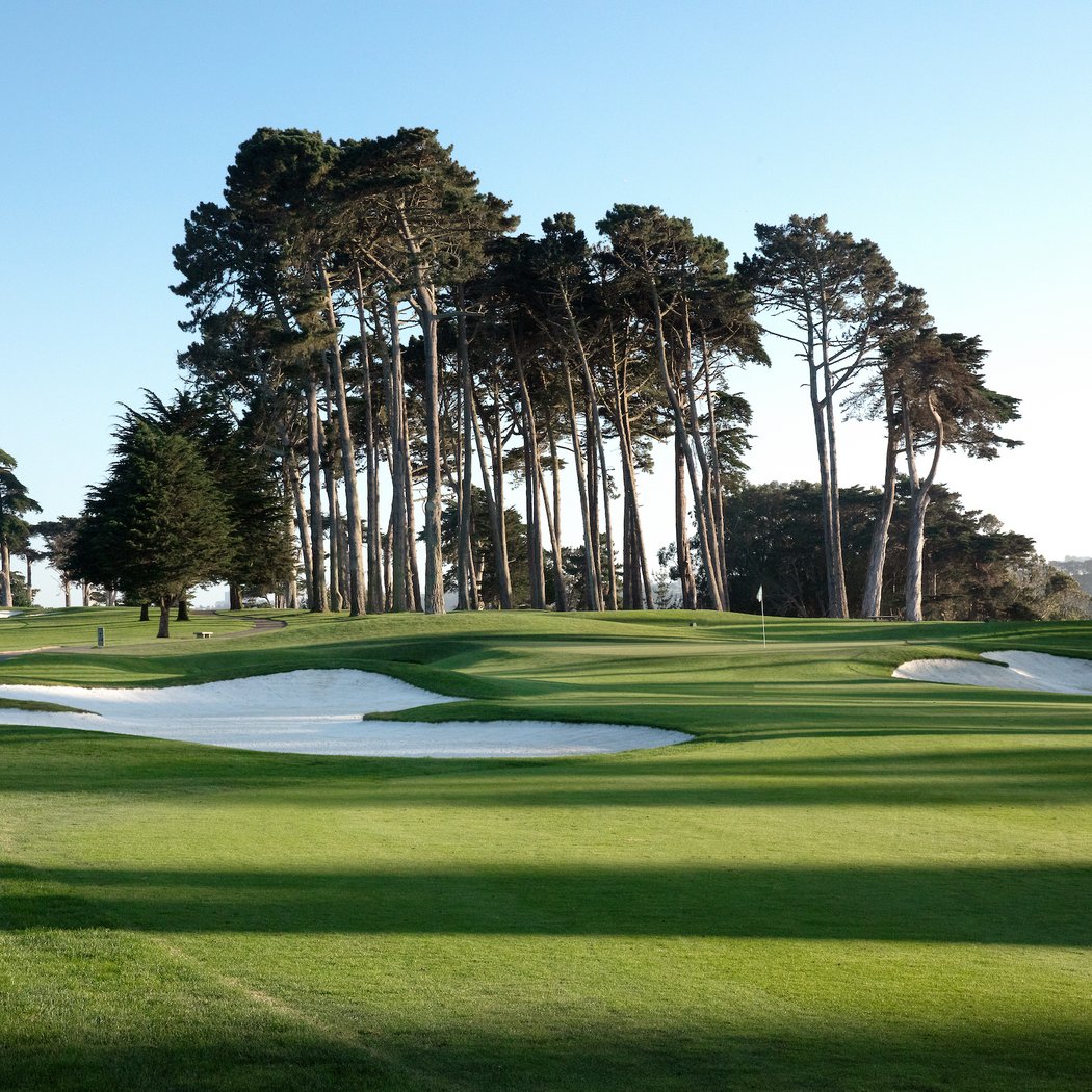 TPC Harding Park 2