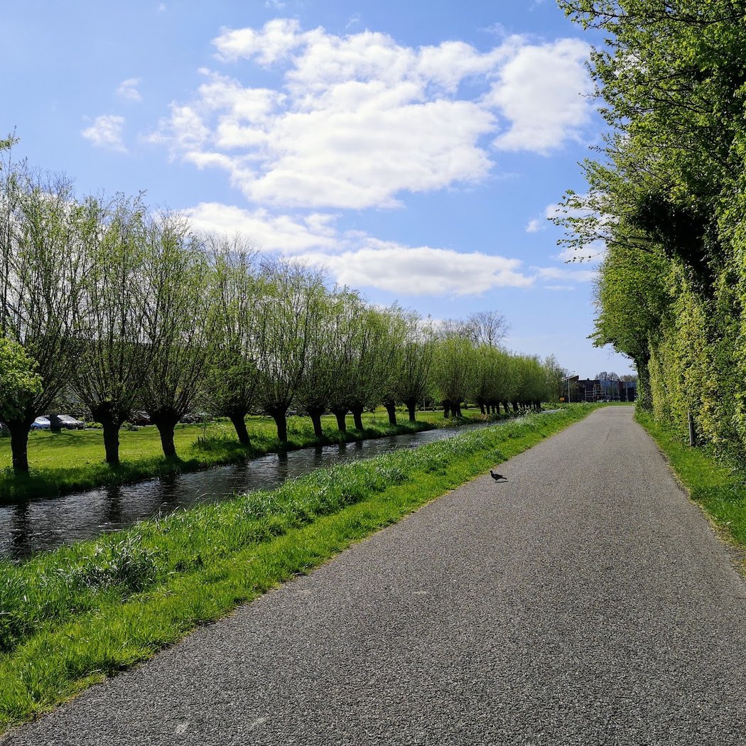 Delft 3