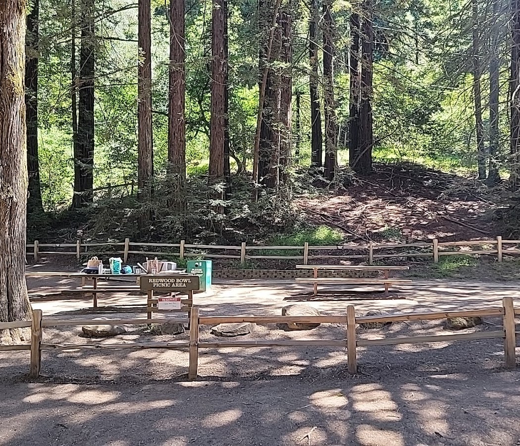 Redwood Bowl Picnic Spot 2