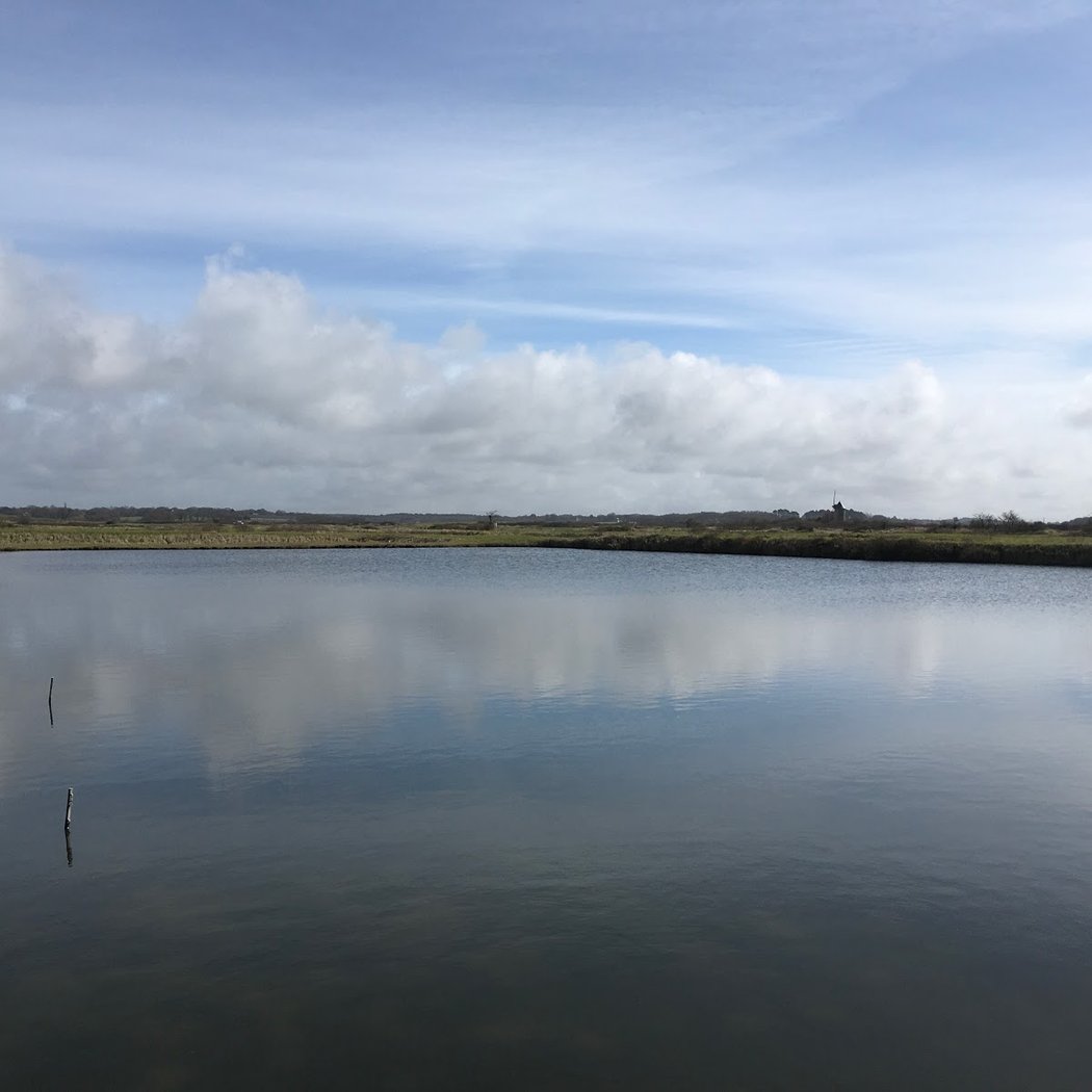SARL JANNOT LES CHAMPS MARINS 3