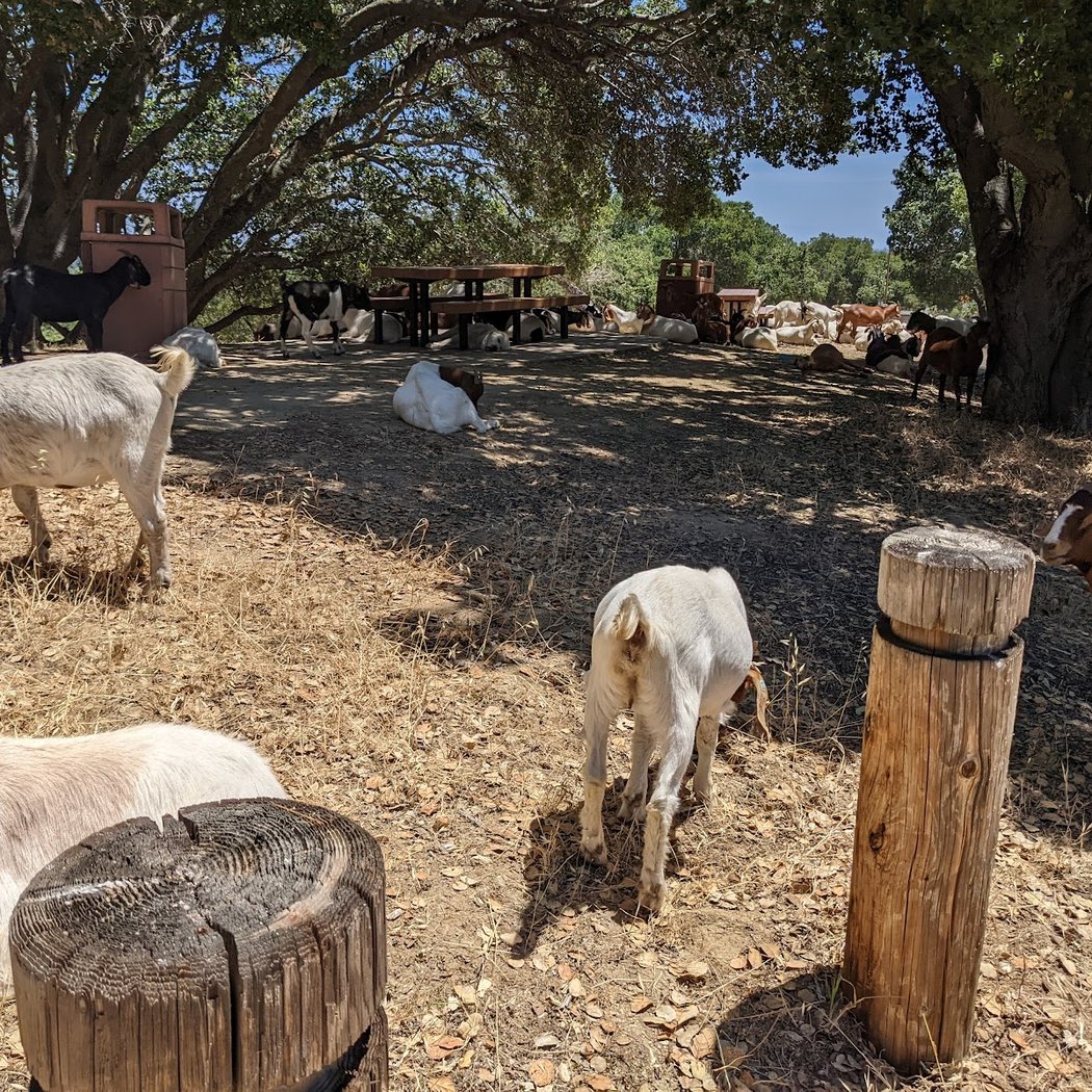 Sharon Hills Park 3