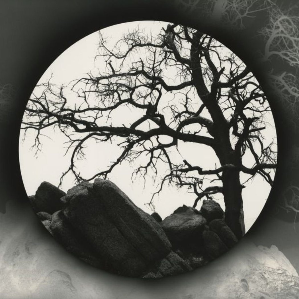 Chris McCaw: Reversals and Revolutions - Opening Reception 1