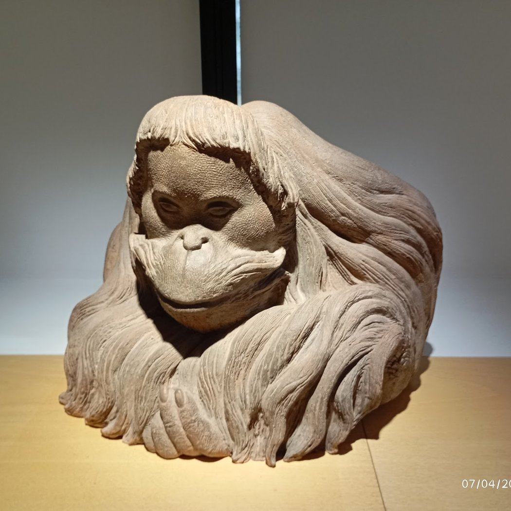 Premier dimanche du mois - musées gratuits 3