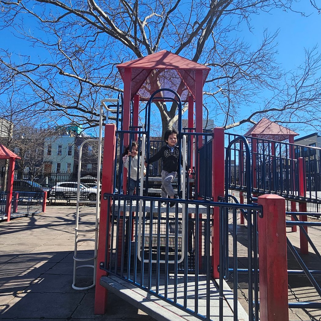 Tiger Playground 1