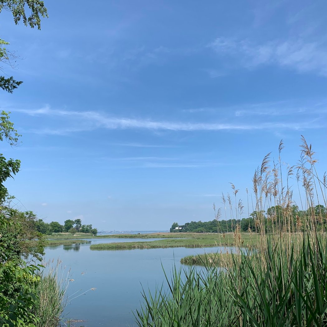 Udall's Cove And Ravine Natural Resource Area 2