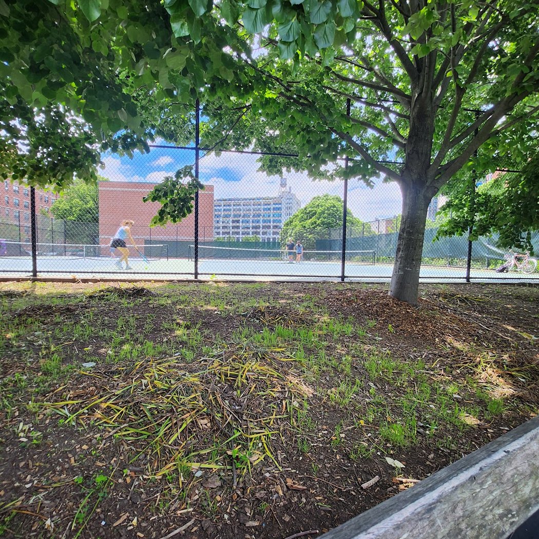 South Oxford Park Tennis Courts 2