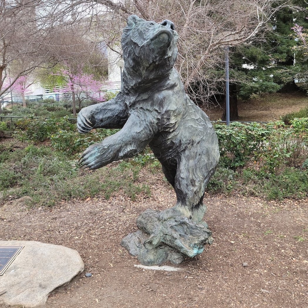 California Golden Bears vs. North Carolina Tar Heels 1