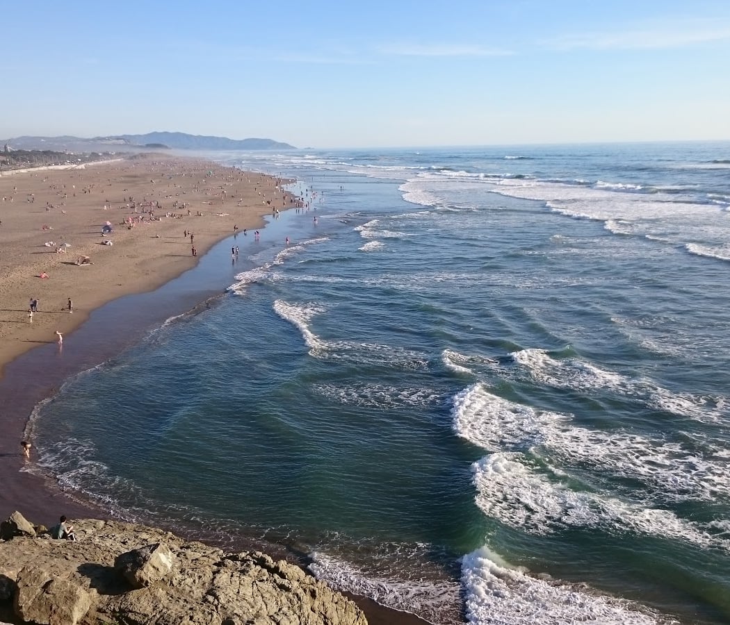 Balboa Natural Area 2