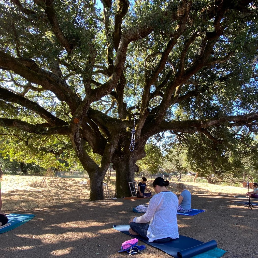 Revolution Yoga - Montecito 3