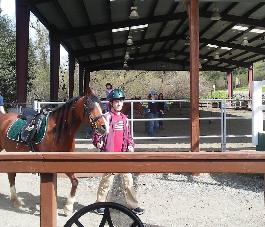 Xenophon Therapeutic Riding 2