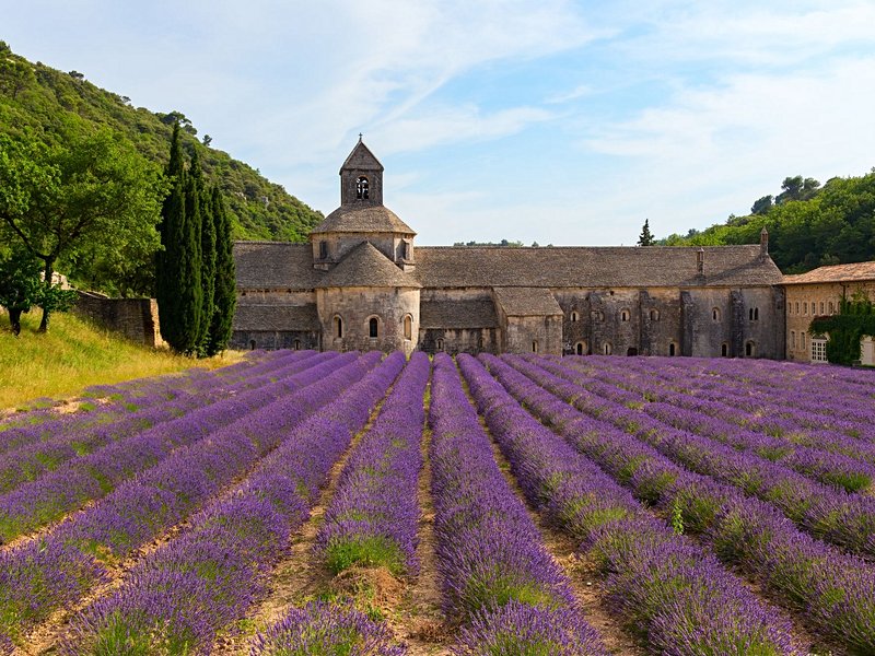 Abbaye Notre-Dame de Sénanque 4