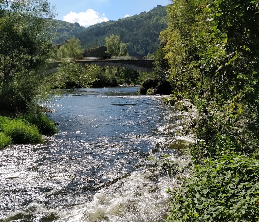 Allier River 1