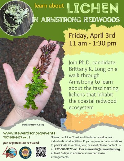 Lichens of the Coastal Redwood Ecosystem 1