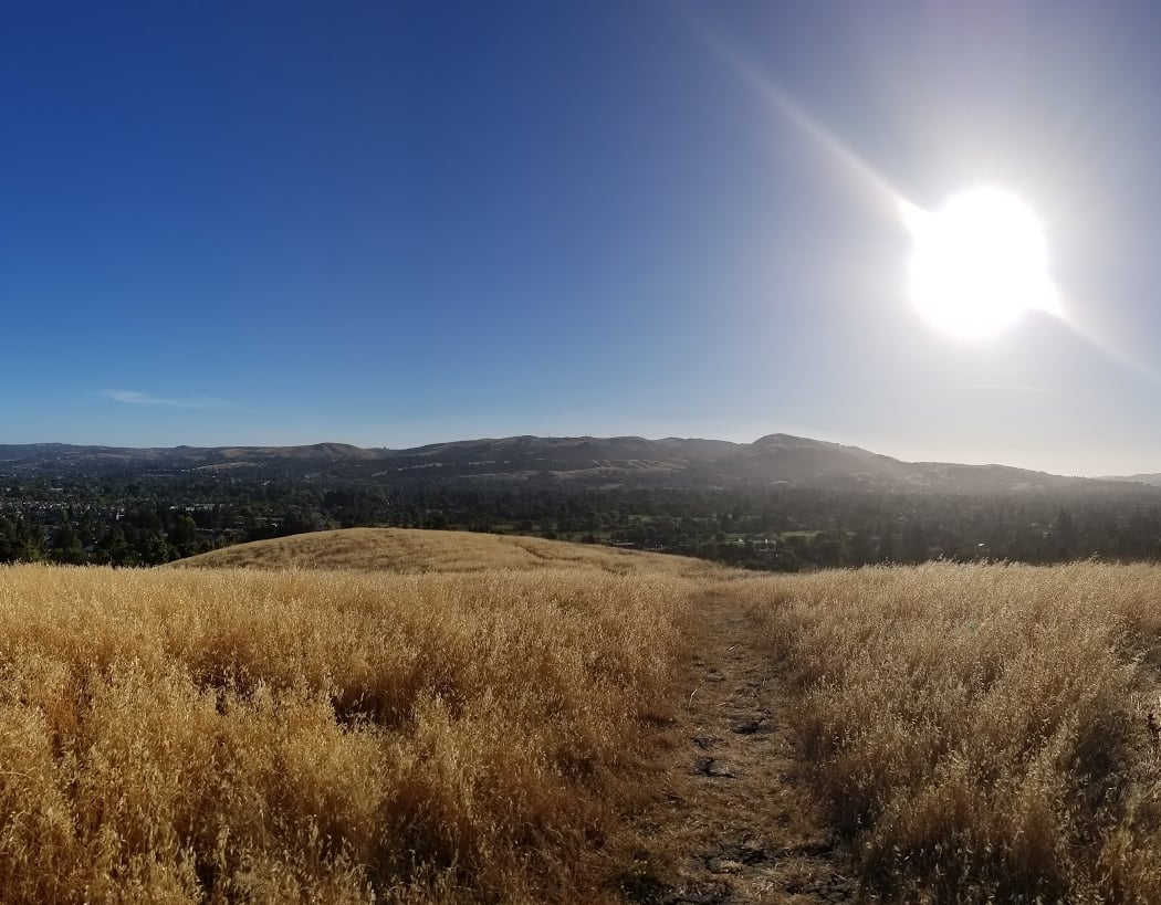 Old Ranch Park 3