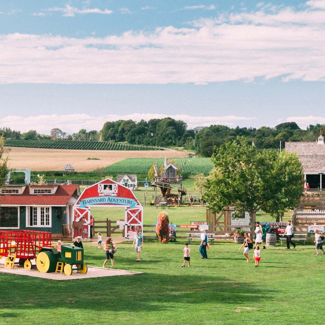 Father's Day Weekend at Harbes Family Farm 2