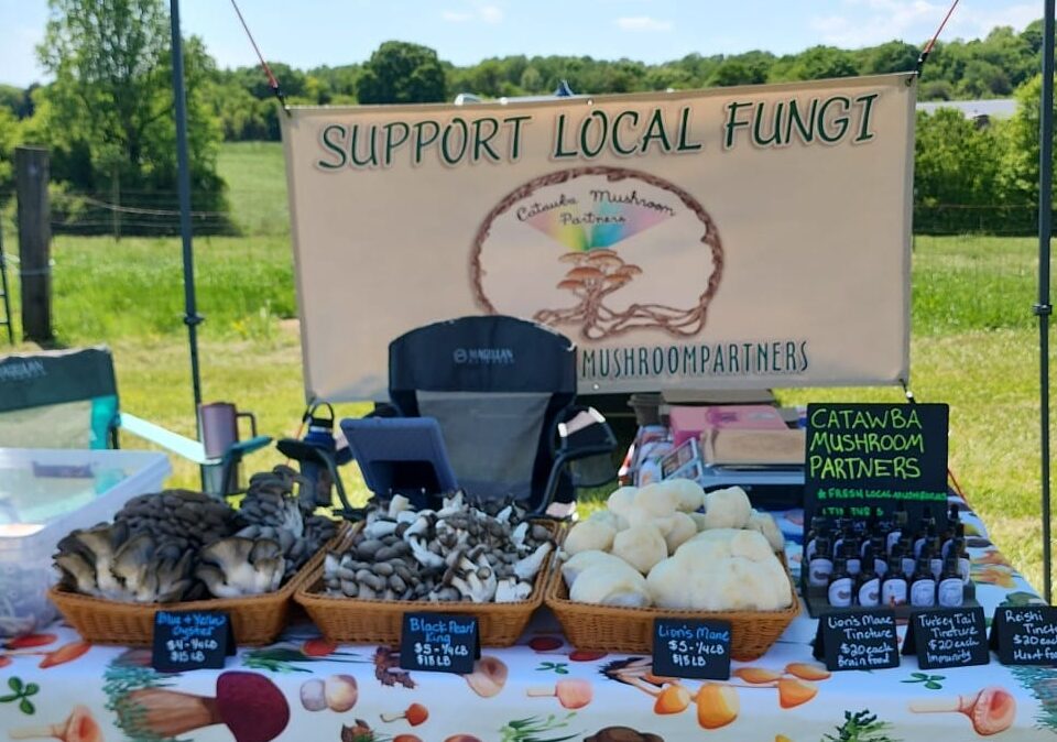 Foothills Farmers' Market 2