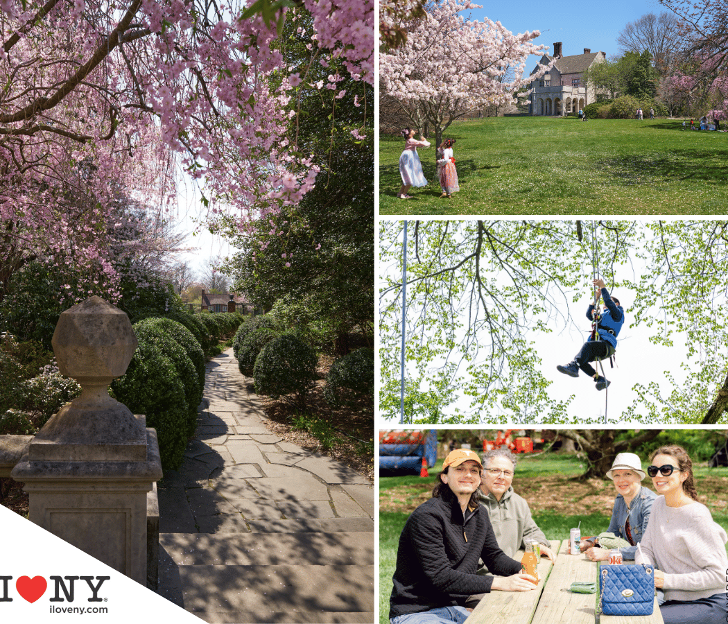 Branches in Bloom: A Spring Festival Celebrating Arbor Day 1