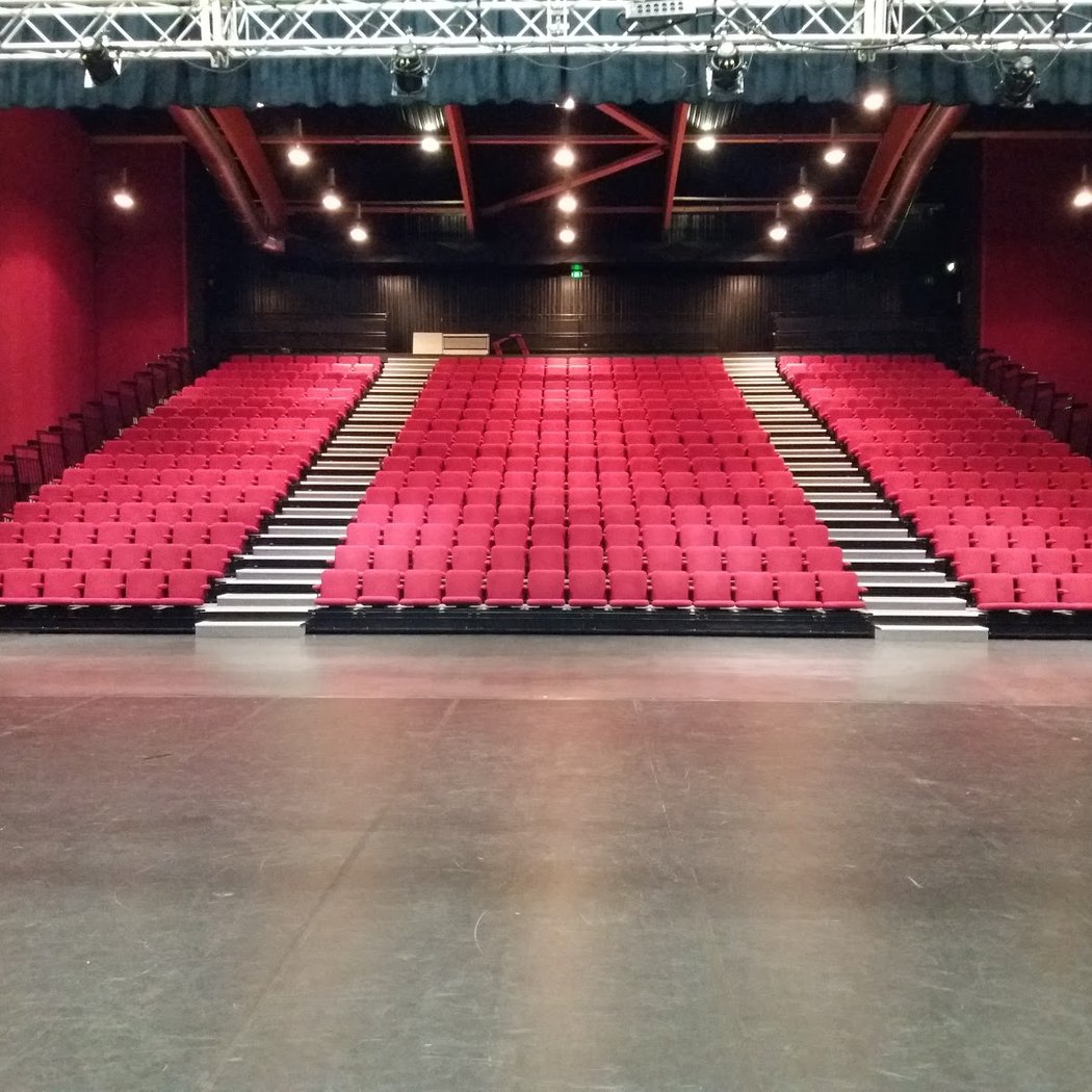La Bajon en spectacle 2