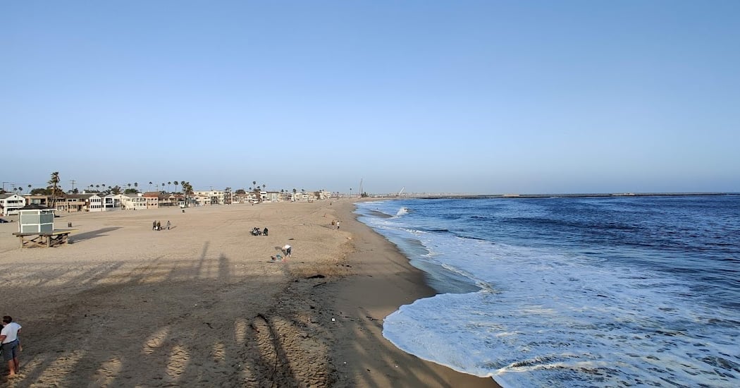 Seal Beach Cleanup 3