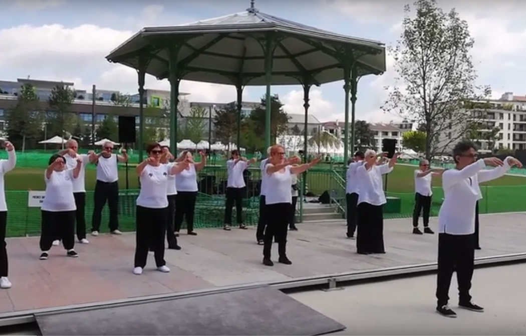 Cours de qi gong et Taiji quan à Montrouge 1
