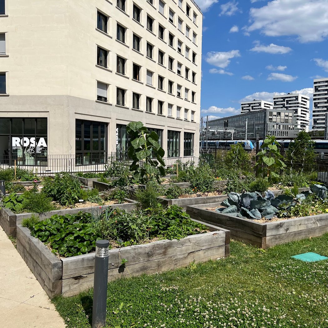ROSA LAB, fabrique de la ville créative et durable 2