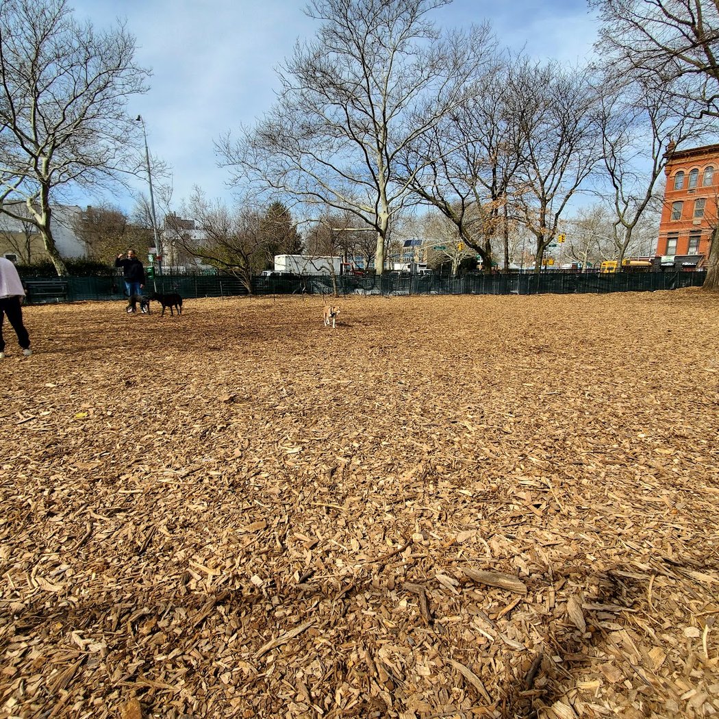 Herbert Von King Park Dog Run 3