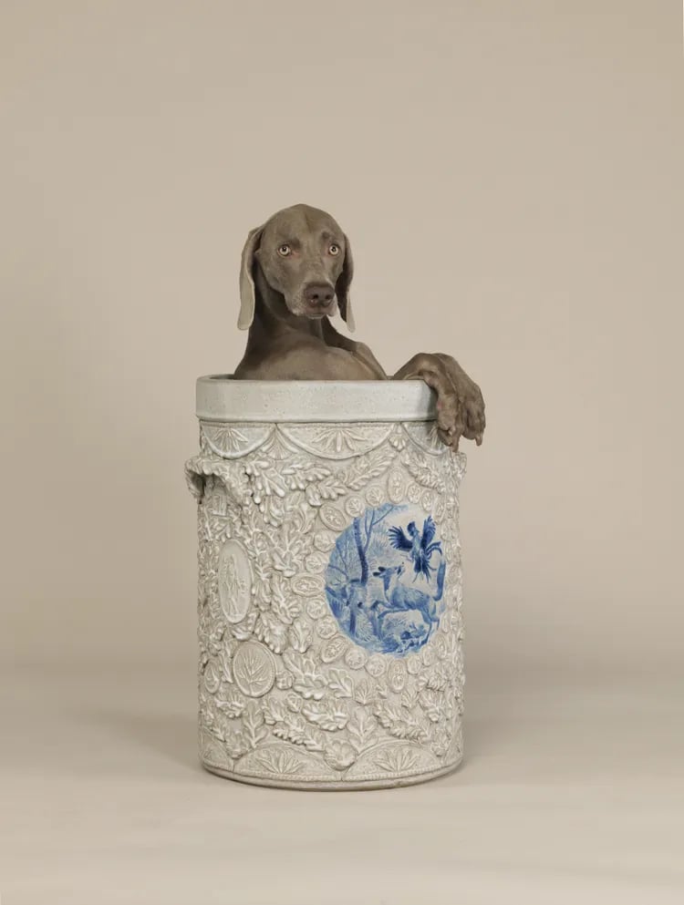 In the Atrium: Works by William Wegman 1