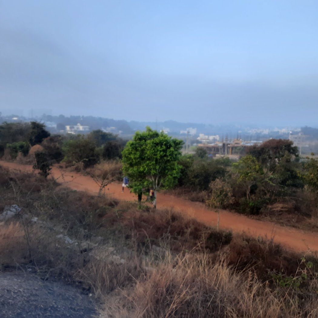 Turahalli Tree Park 2