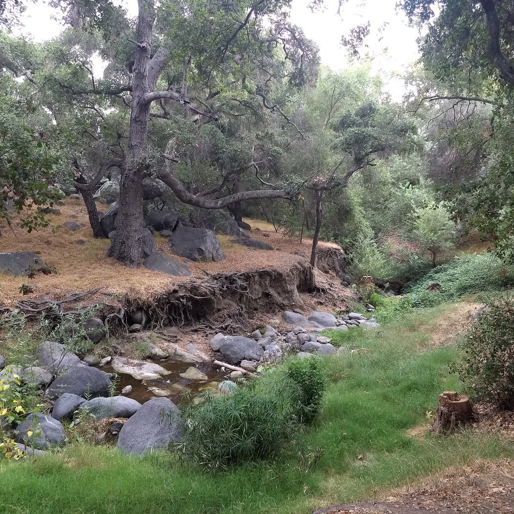Felicita County Park 1