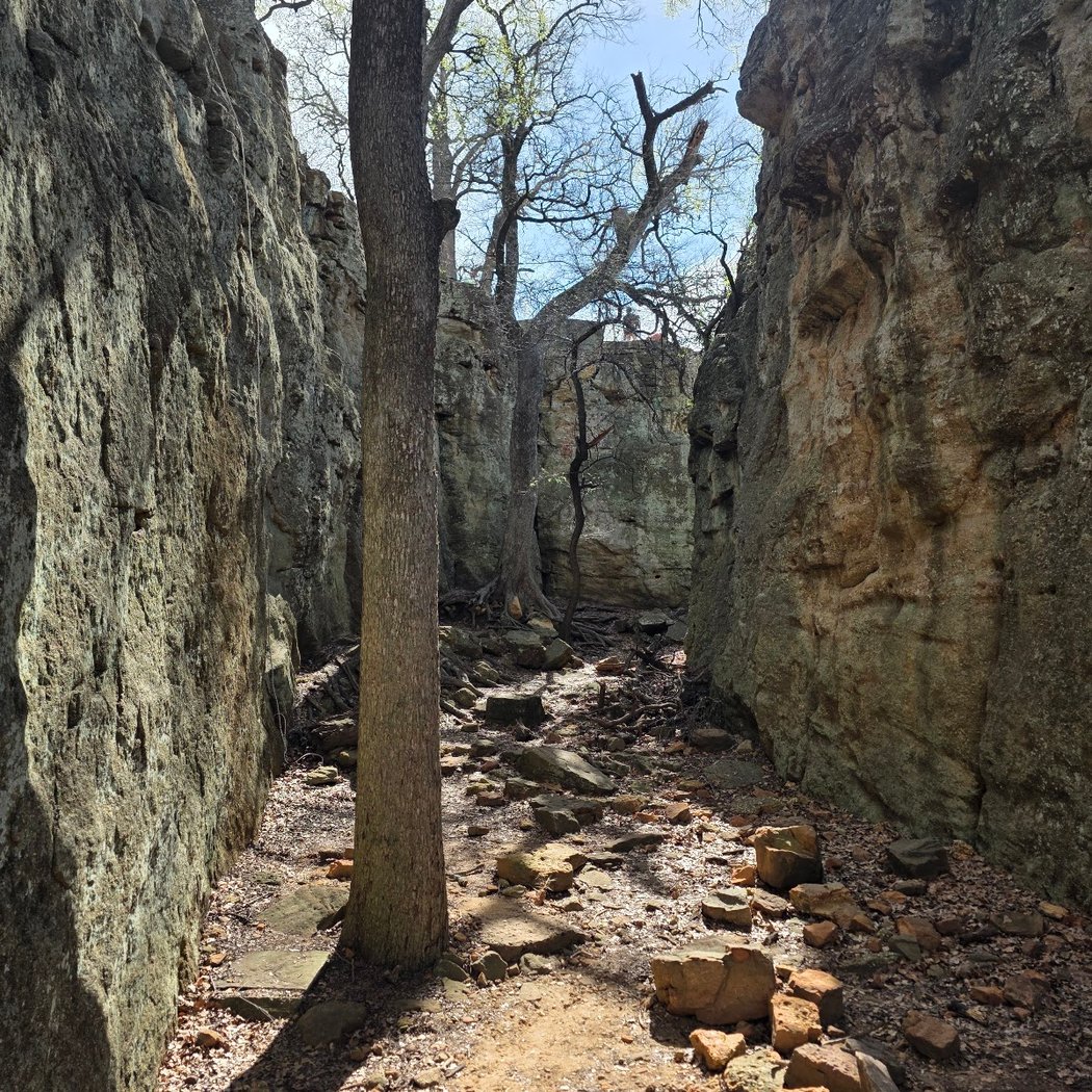 Texas Outdoor Family Outdoor Leadership Training 3