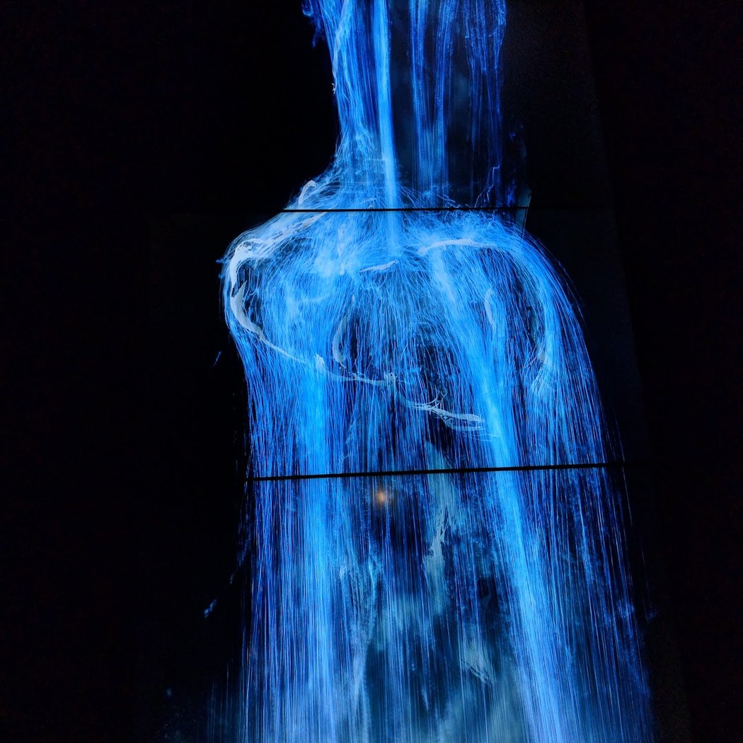 teamLab at PACE Gallery 1