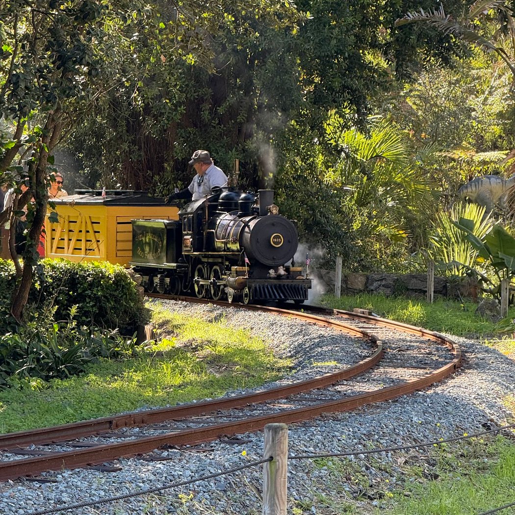 Little Puffer Steam Train Depot 3