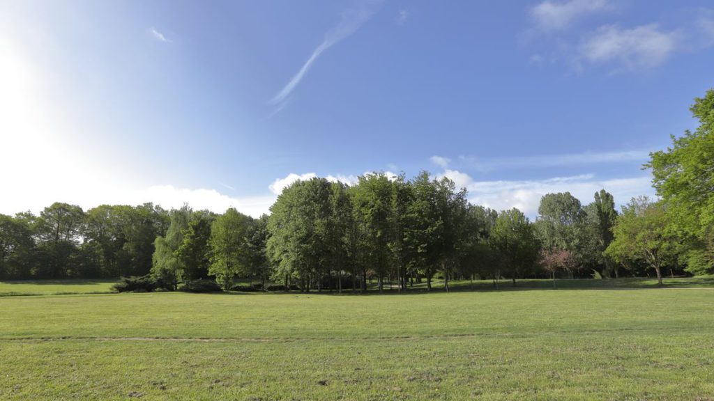Bois des Éboulures 2