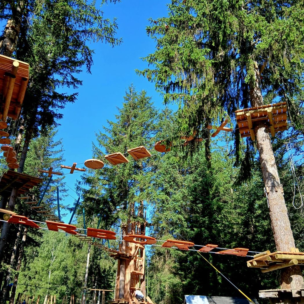 Treetop adventure 2