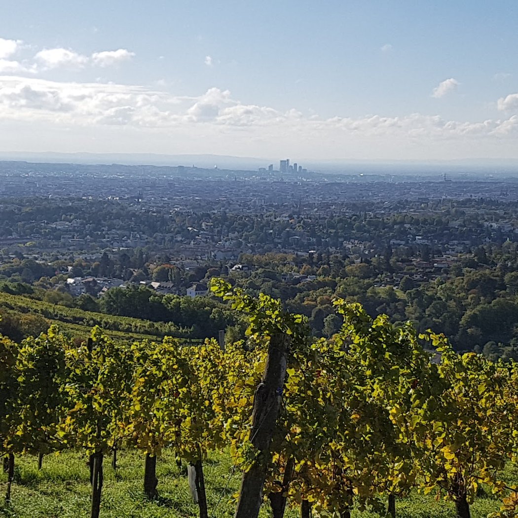 Kürbisfest am Himmel 2
