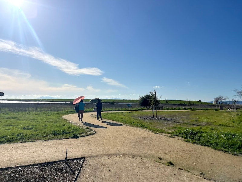 Wetlands Edge Park 2