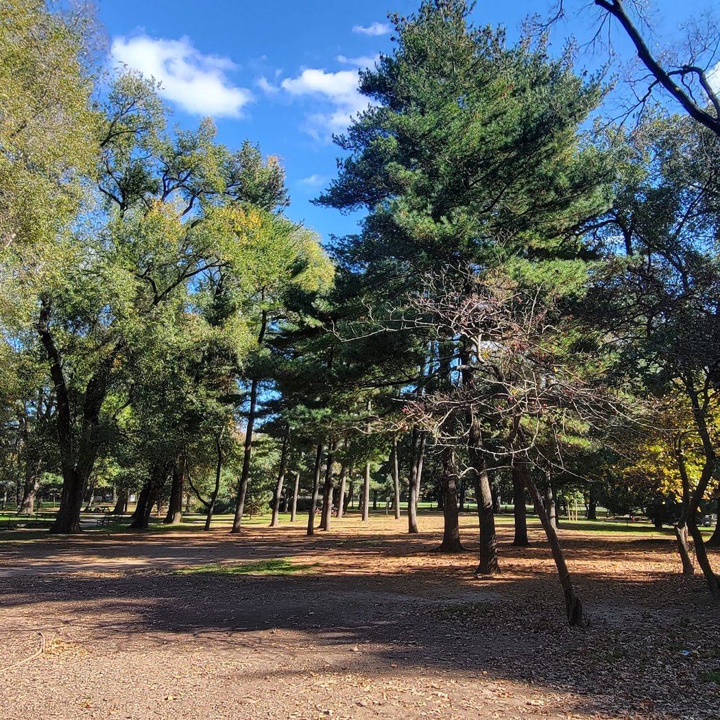 Arthur Ross Pinetum 2