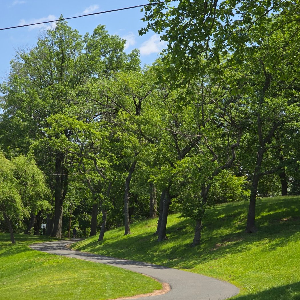 Bayonne Park 1