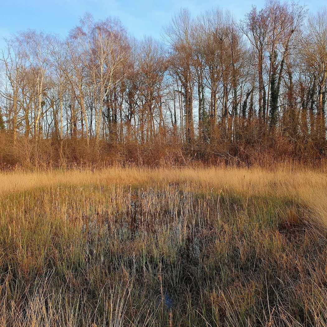 Sentier découverte Odonates 2