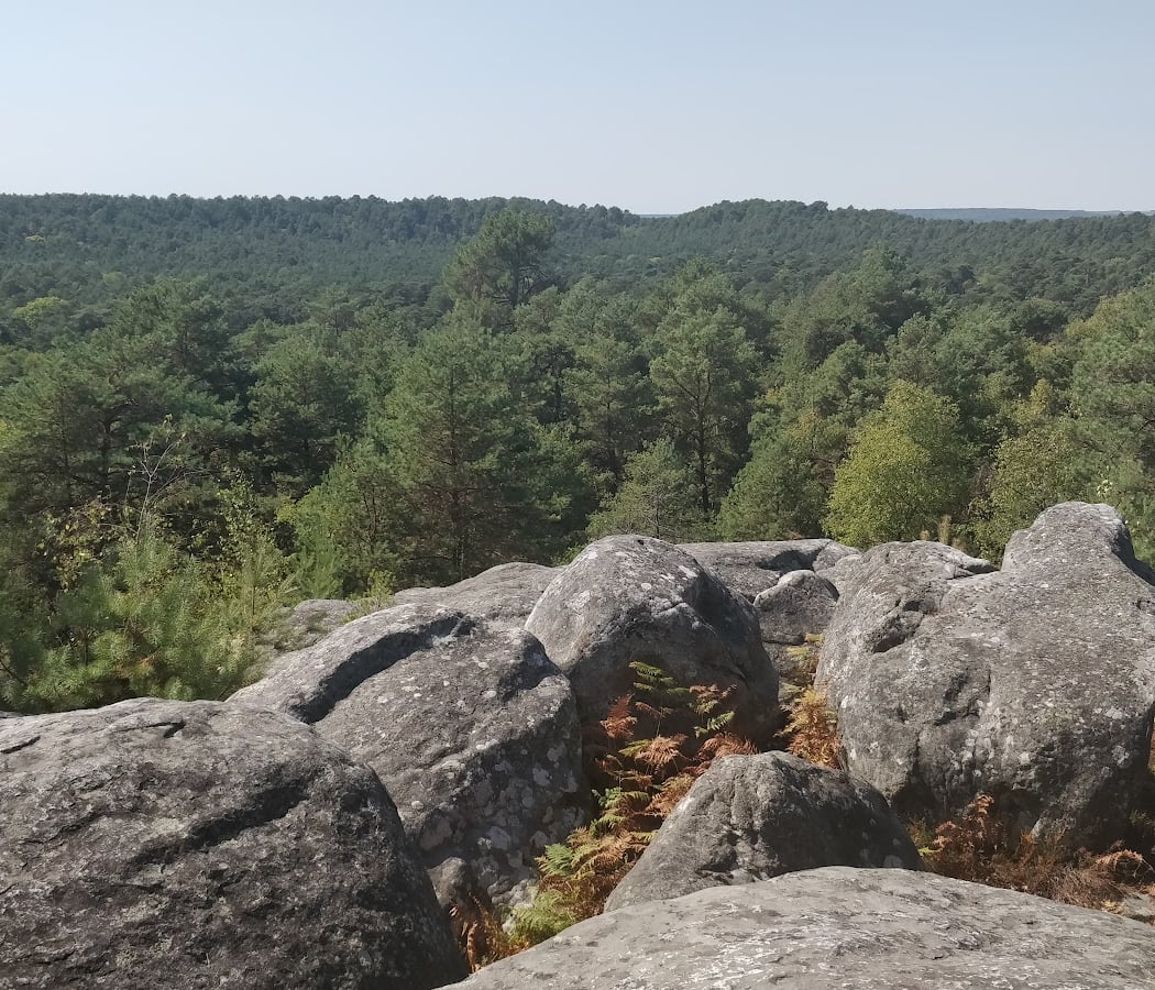 Apremont Ouest outdoor climbing 2