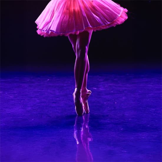 Ballet of Lights: Dornröschen in einer funkelnden Show