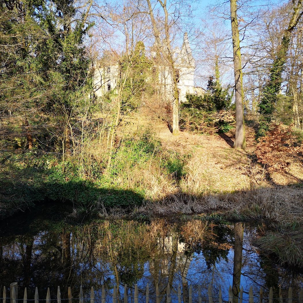 Bois de la Solitude 1