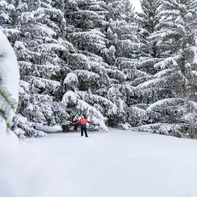 La Plagne - Montchavin Les Coches | Tourist Office 3