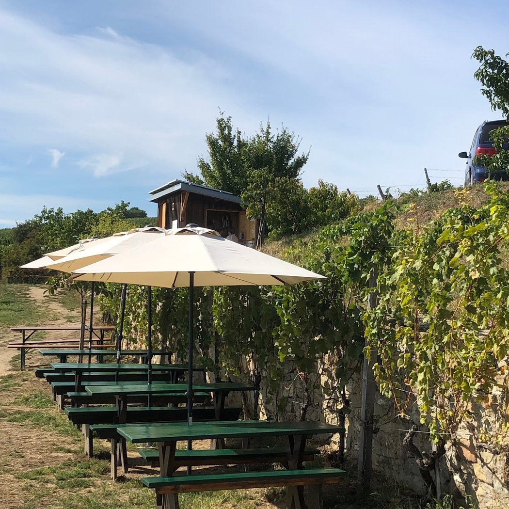 Buschenschank Windischbauer 2