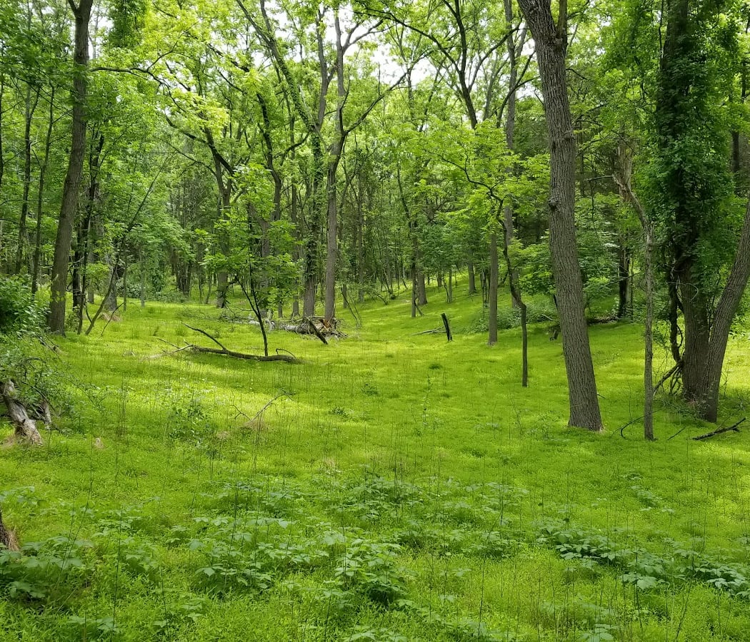 Hopeland trails 3