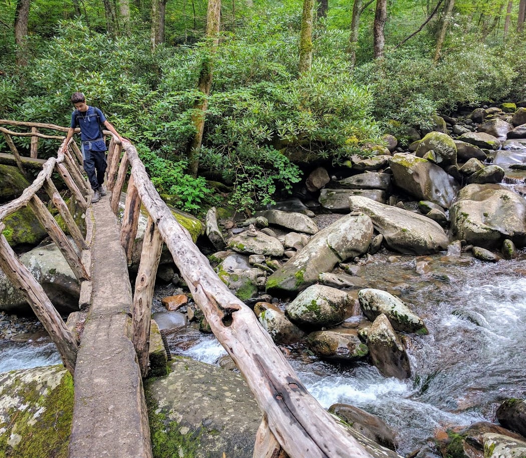 Porters Creek Trail 2