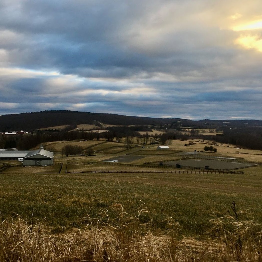 Riga Meadow Equestrian Center LLC 2