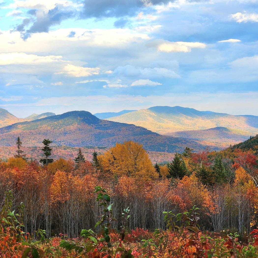 White Mountain National Forest 1