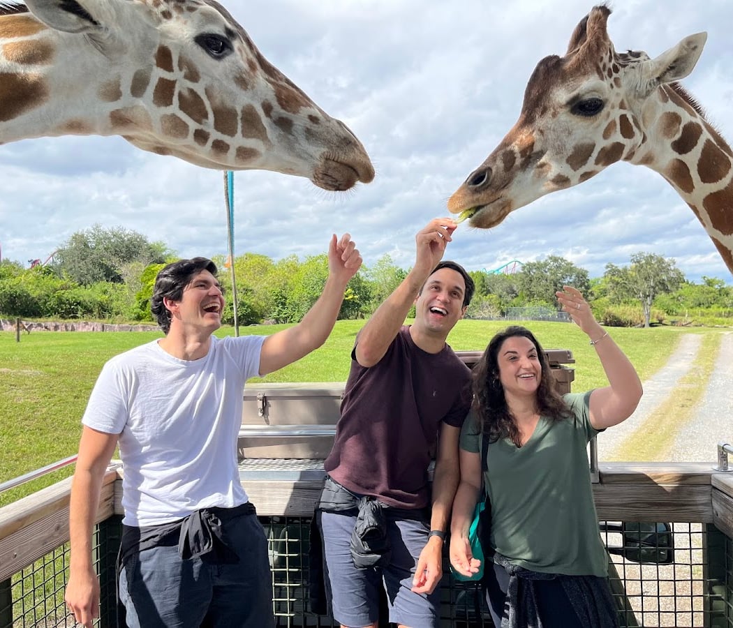 Busch Gardens Tampa Bay 1