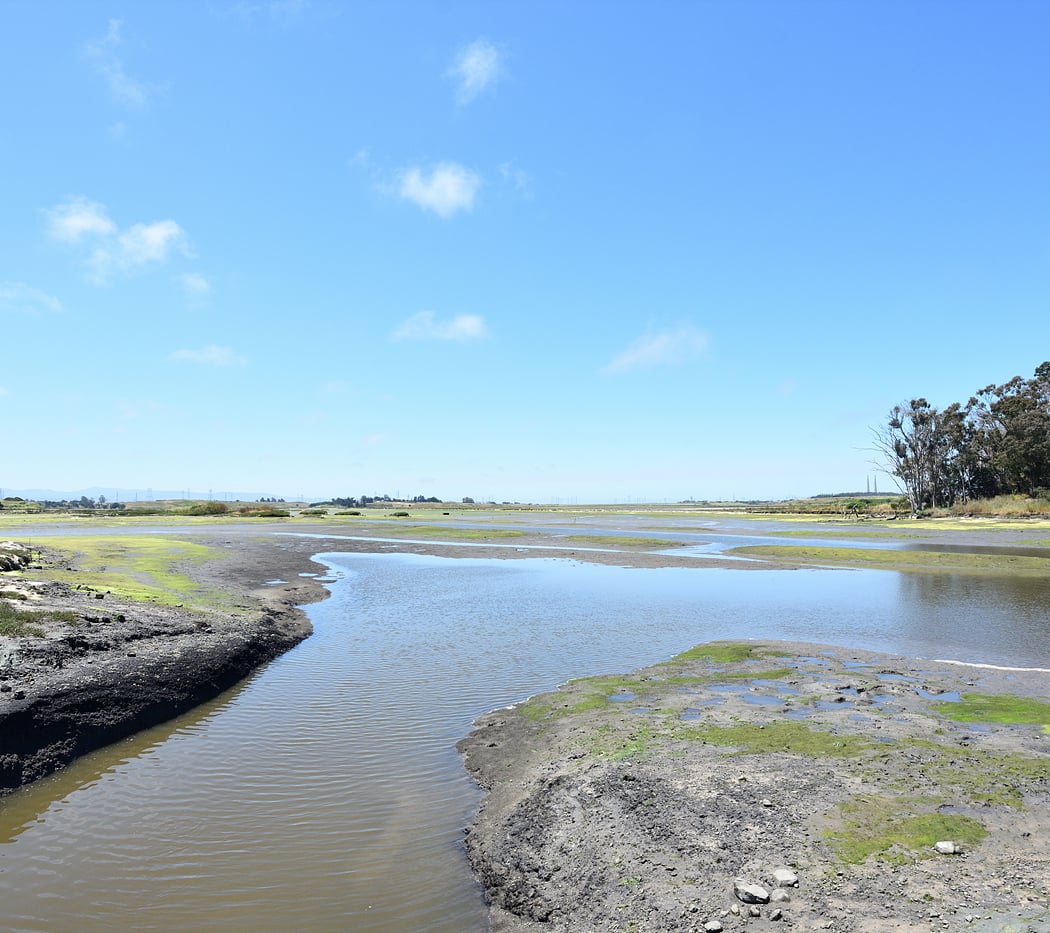 Elkhorn Slough Free Tour of the Preserve 1